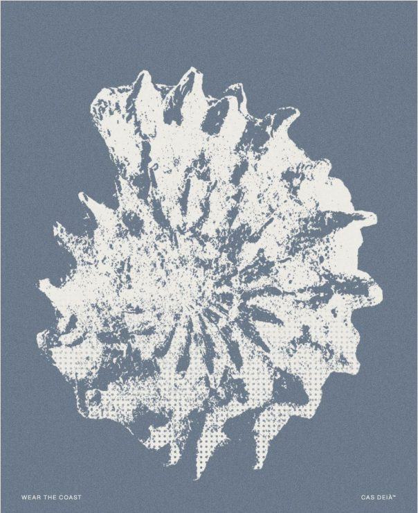 C09 · Sun